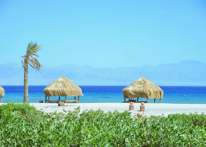 Kamp alanı Safari Nuweiba`