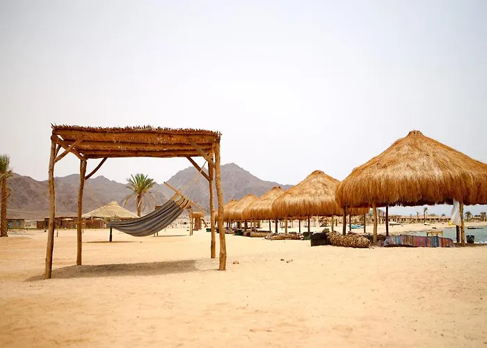Kamp alanı Safari