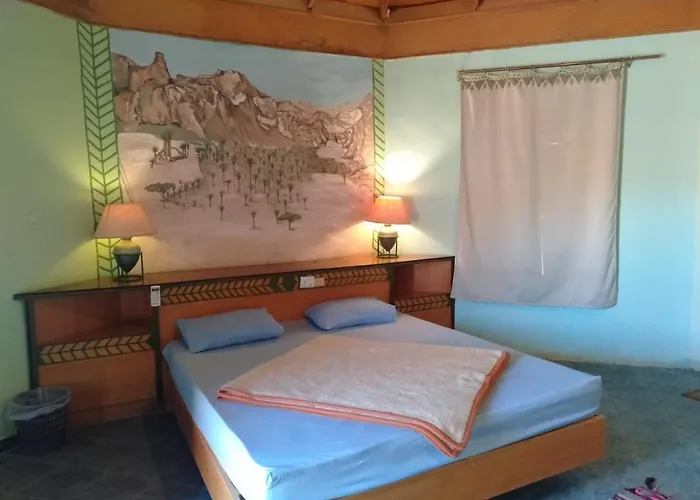 Kamp alanı Safari