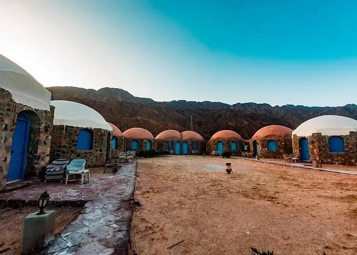 Safari Kamp alanı *
