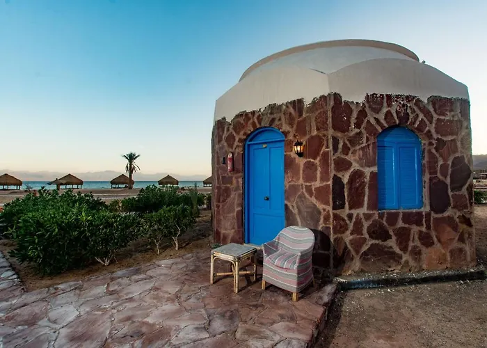 Safari Kamp alanı *