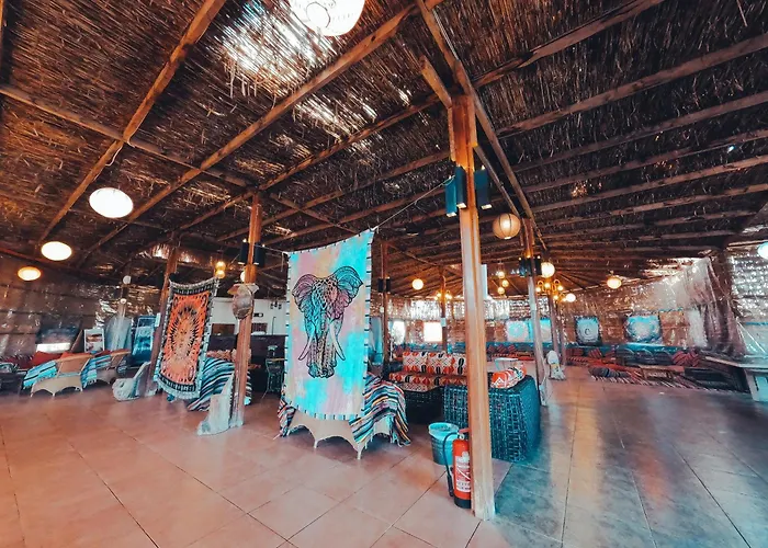 Safari Kamp alanı