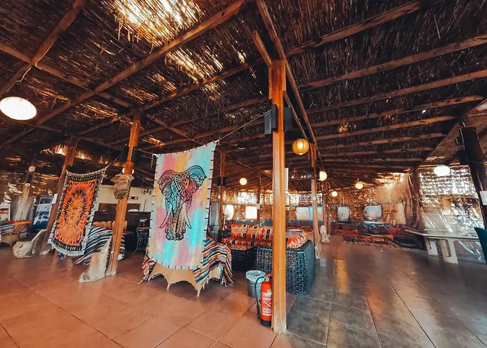 Kamp alanı Safari *