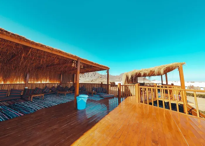 Safari Kamp alanı