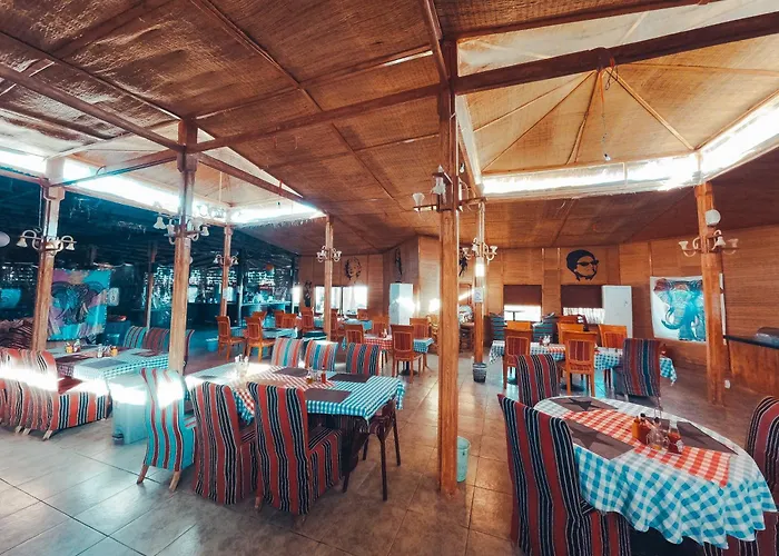 Kamp alanı Safari