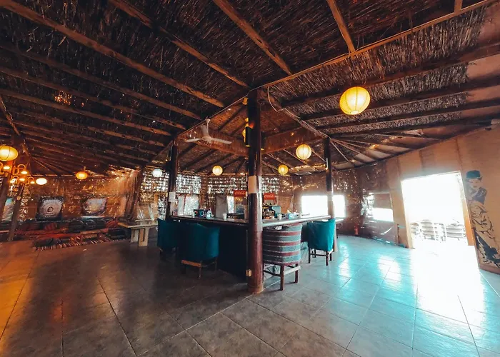 Kamp alanı Safari *