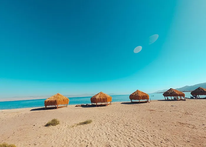 Kamp alanı Safari