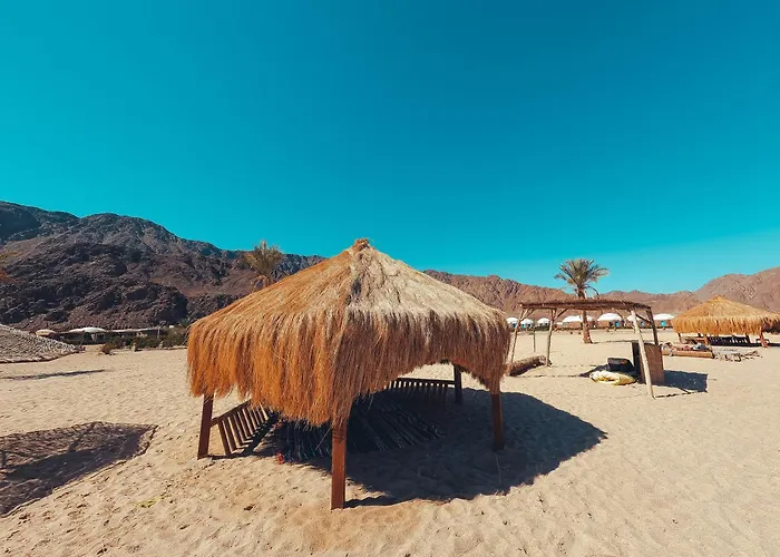 Safari Nuweiba`