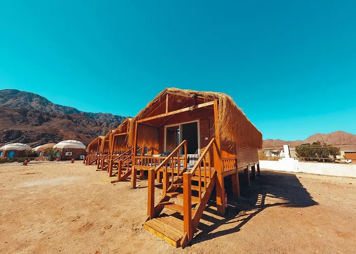 Safari Kamp alanı