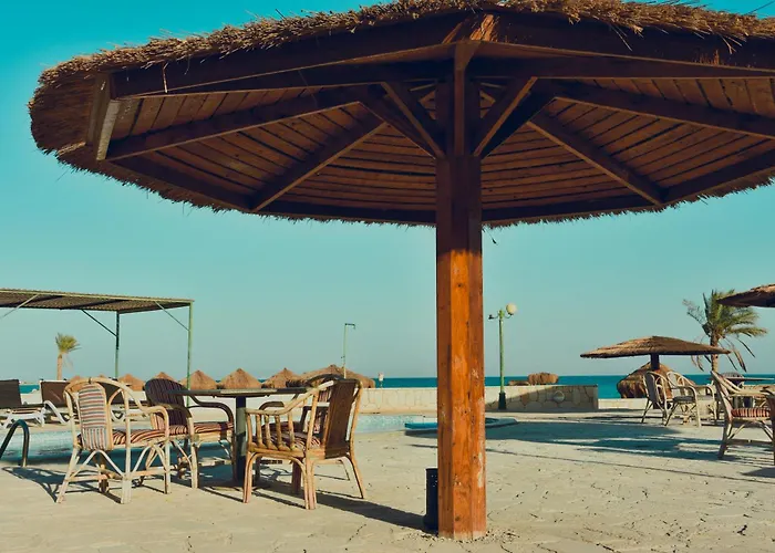 Safari Kamp alanı