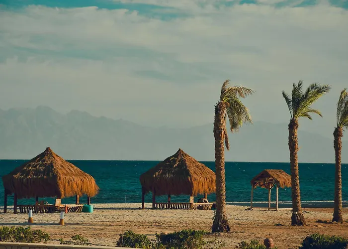 Kamp alanı Safari